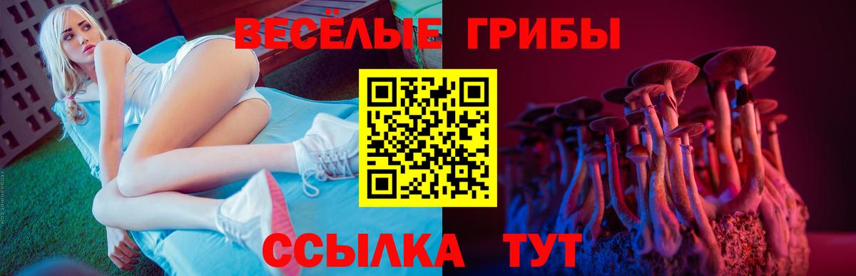 купить   Галлюциногенные грибы Magic Shrooms  Вход с VPN  Ялуторовск  Галлюциногенные грибы Psilocybine cubensis 